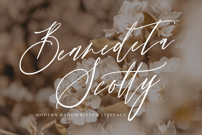 Benedeta Scotty
