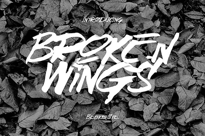 Broken Wings