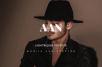 Aan Lightroom Presets Dekstop and Mobile
