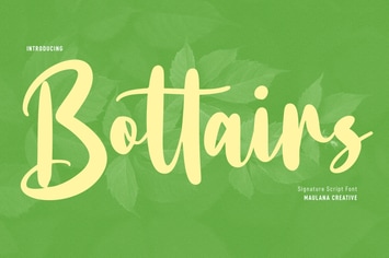 Bottairs Script Font