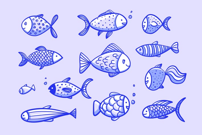 Fish Variety