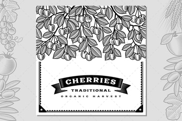Retro Cherry Harvest Card Black And White