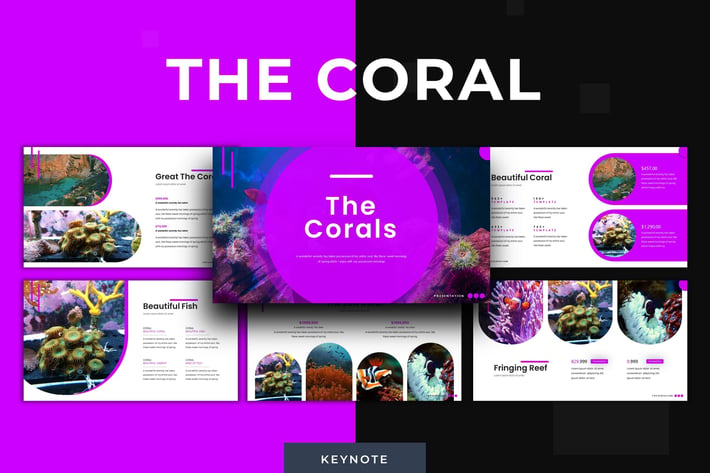 The Corals - Keynote Template