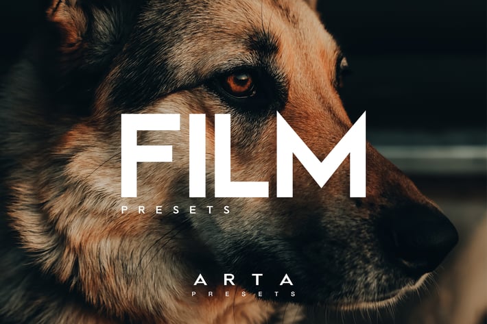 ARTA Film Presets For Mobile and Desktop
