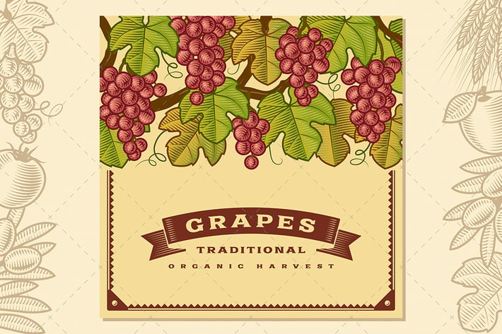 Retro Grapes Harvest Card