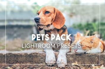 Pet Photography Lightroom Presets