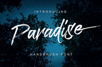 Paradise Typeface