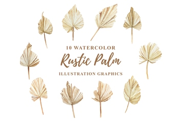 10 Watercolor Rustic Palm Illustration Graphics