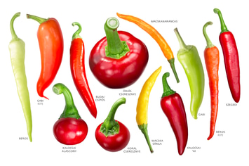 Hungarian peppers