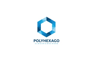 Polygonal Hexagon Logo