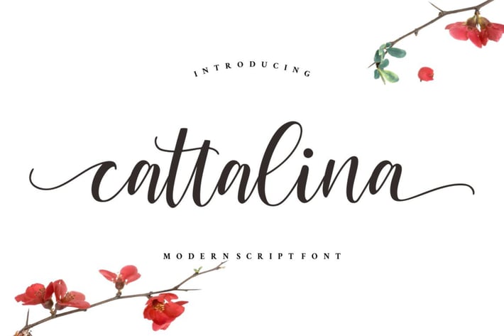 Cattalina