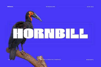 Hornbill - Modern Display Font