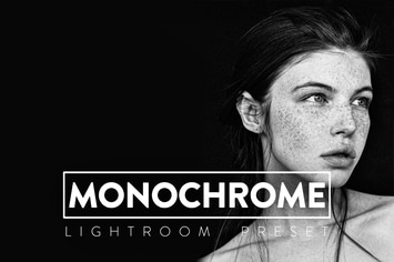 10 Monochrome Lightroom Presets