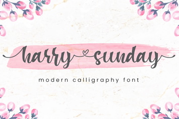 Harry sunday - Script Font