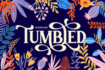Tumbled Serif Font