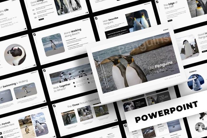 Life Penguin - Powerpoint Template