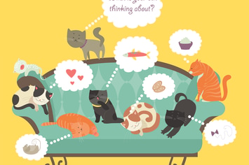 Funny cats with Speech Bubble. Vector illustration