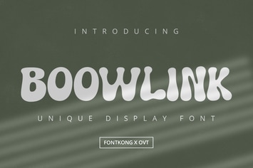 Boowlink - Unique Display Font