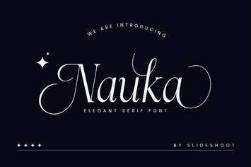 Nauka Elegant Serif Font