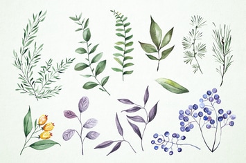Watercolor Plants Clipart