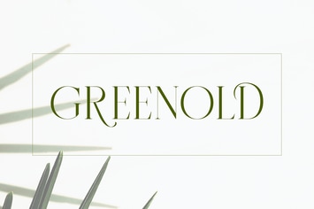 Modern Thin Serif Font