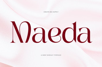 Classic Display Serif Font for Timeless Designs