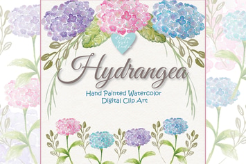 Watercolor Hydrangea clipart