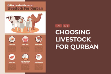 Choosing Livestock For Qurban - Infographic
