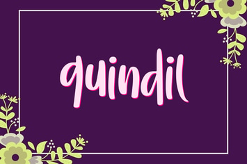Quindil Typeface