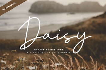 Daisy - Modern Script Font