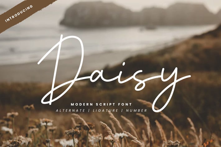 Daisy - Modern Script Font