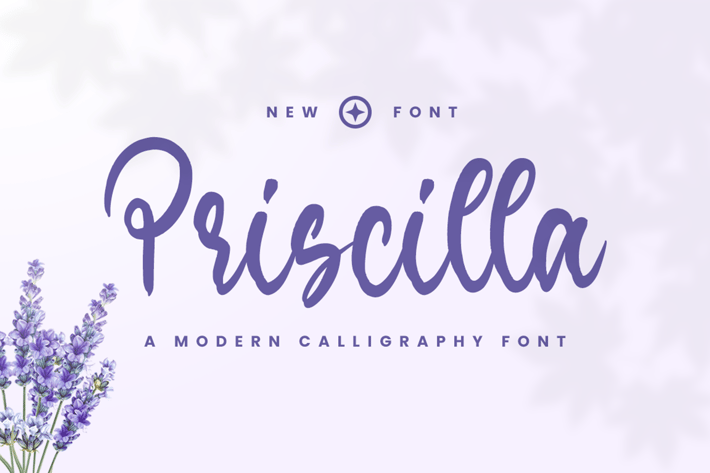 Priscilla - Instagram Font