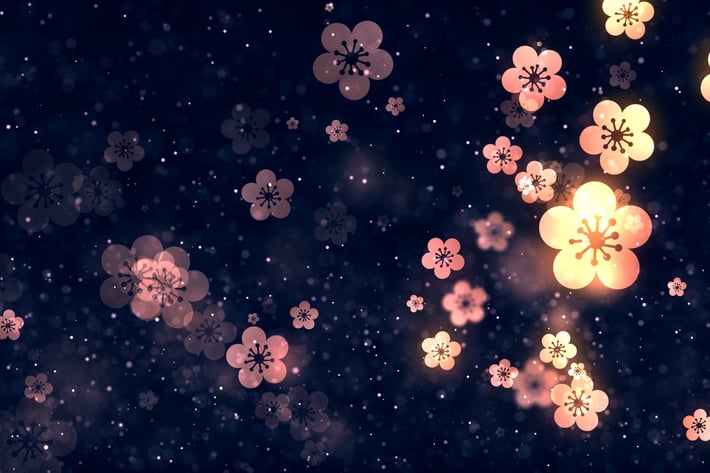 Spring Plum Blossom Background V2