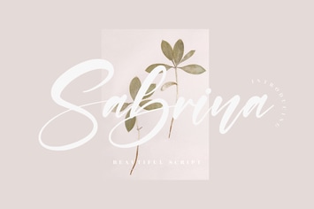 Sabrina Beautiful Script