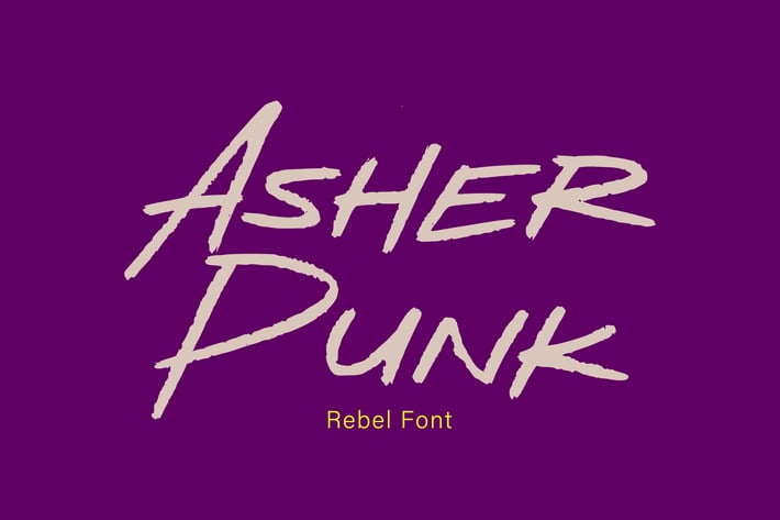 AL - Asher Punk
