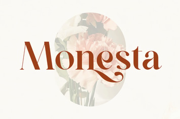 Modern Luxury Serif Font