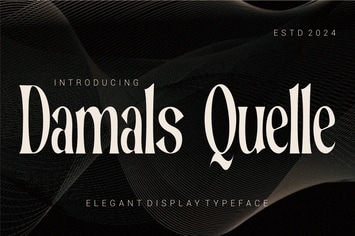 Damals Quelle - Elegant Display Typeface