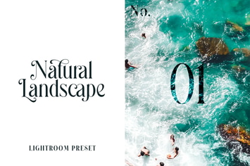 Lightroom Preset - Natural Landscape No.01