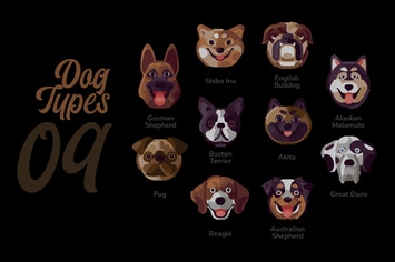 Dog Types - Illustration Sets