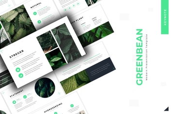 Greenbean  - Keynote Template