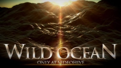 Wild Ocean