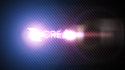 Quick Logo Sting