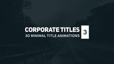 Corporate Titles 3
