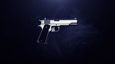 Gun Reveal