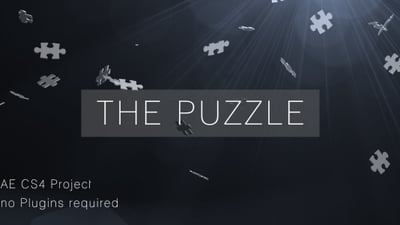 The Puzzle