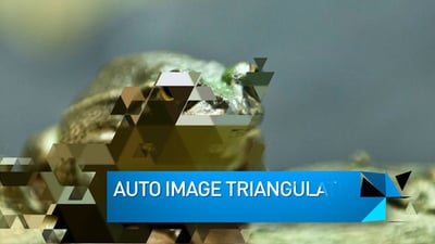 Triangulate Slideshow 