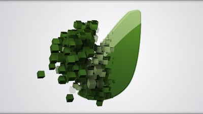 Voxel Reveal
