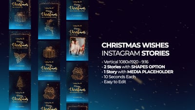Christmas Wishes Instagram Stories