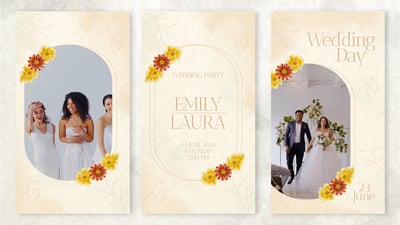 Wedding Stories Instagram