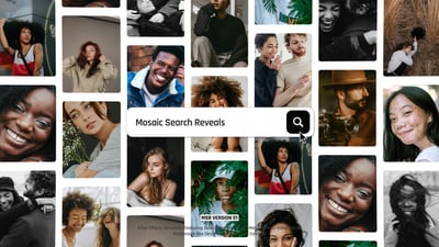 Mosaic Search Reveals